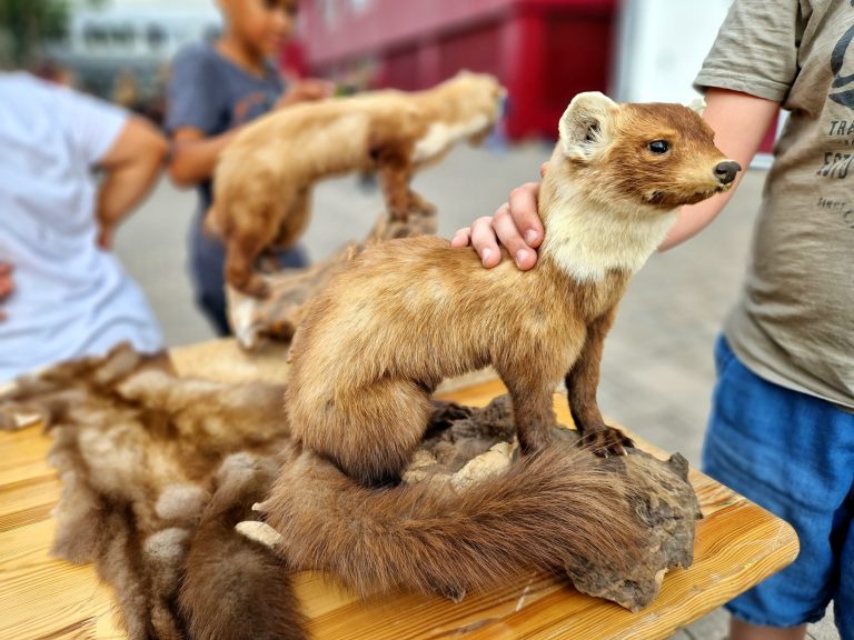 07/2022 Projektwoche Realschule Nierstein