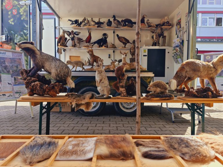 07/2024 Projektwoche Realschule Nierstein