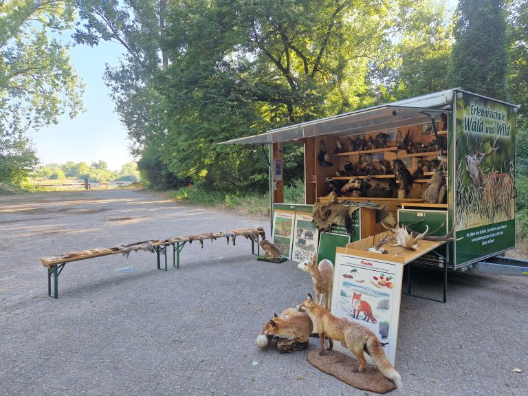07/2022 Projektwoche Realschule Nierstein