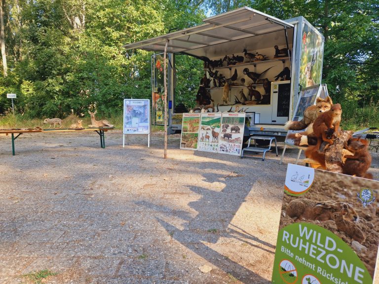 07/2023 Projektwoche Realschule Nierstein