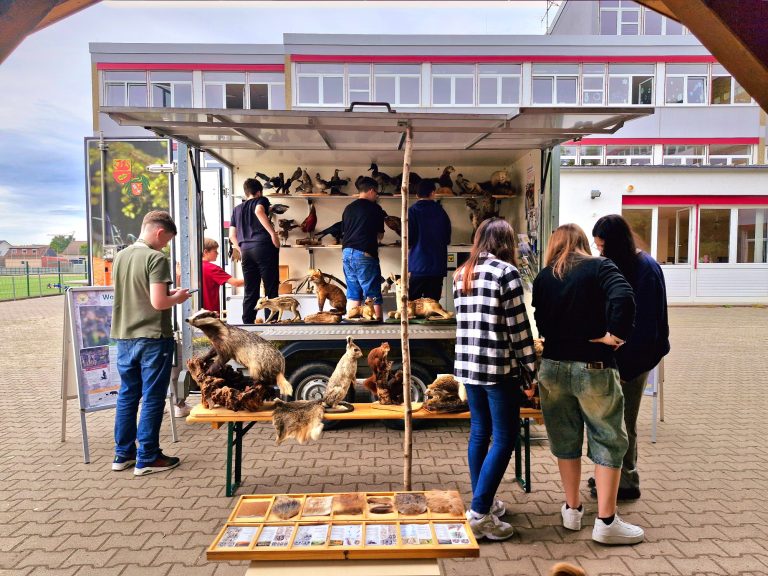 07/2024 Projektwoche Realschule Nierstein